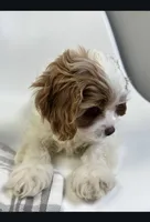 processed/03e9f551-54de-48cd-9003-f5a7c2f49a21/listing/57826d84-d033-4e8b-bcbd-7801a1287aa0/d83e213c-a30e-4305-b1f6-c9d19333ab32