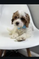 processed/03e9f551-54de-48cd-9003-f5a7c2f49a21/listing/57826d84-d033-4e8b-bcbd-7801a1287aa0/ddbf4ba2-fcb0-40ad-bb28-48fac970829a