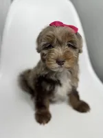 processed/03e9f551-54de-48cd-9003-f5a7c2f49a21/listing/765f1a34-2c79-4e51-88af-85925a645f51/0130fe10-917d-4f71-b851-c785f5e565f5