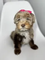 processed/03e9f551-54de-48cd-9003-f5a7c2f49a21/listing/765f1a34-2c79-4e51-88af-85925a645f51/34f623c4-5830-4dac-835a-38ca54067866