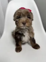 processed/03e9f551-54de-48cd-9003-f5a7c2f49a21/listing/765f1a34-2c79-4e51-88af-85925a645f51/7edcc506-addd-4e2a-b358-651f7aa22ffb