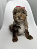 processed/03e9f551-54de-48cd-9003-f5a7c2f49a21/listing/765f1a34-2c79-4e51-88af-85925a645f51/c69cc8cc-0fe0-4b6c-8eb6-91af31a69135