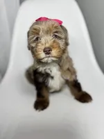 processed/03e9f551-54de-48cd-9003-f5a7c2f49a21/listing/765f1a34-2c79-4e51-88af-85925a645f51/c9dd5dbb-d611-46a8-a469-a81321d1740e