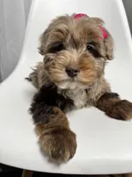 processed/03e9f551-54de-48cd-9003-f5a7c2f49a21/listing/765f1a34-2c79-4e51-88af-85925a645f51/d17b6f42-1460-4902-848d-44b33a9d00b2