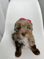 processed/03e9f551-54de-48cd-9003-f5a7c2f49a21/listing/765f1a34-2c79-4e51-88af-85925a645f51/d3d39da6-63f2-444b-91e5-dbd9b95486fc