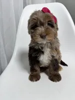 processed/03e9f551-54de-48cd-9003-f5a7c2f49a21/listing/765f1a34-2c79-4e51-88af-85925a645f51/fe33eccc-3184-4755-9cae-249b3d207525