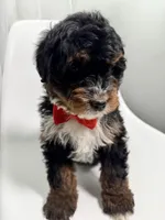 processed/03e9f551-54de-48cd-9003-f5a7c2f49a21/listing/78e7697e-a2f6-4d8a-86a4-dae0920b6082/10db33bf-e2fe-4502-b813-a079a5d59a35