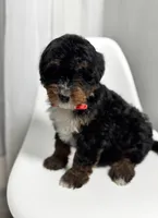 processed/03e9f551-54de-48cd-9003-f5a7c2f49a21/listing/78e7697e-a2f6-4d8a-86a4-dae0920b6082/25493048-44bd-4d70-a173-579f53115761