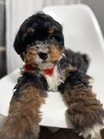 processed/03e9f551-54de-48cd-9003-f5a7c2f49a21/listing/78e7697e-a2f6-4d8a-86a4-dae0920b6082/3e1ce68d-7318-4bb7-bc70-f970a3df73f9