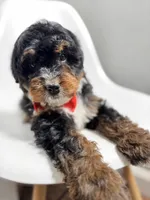 processed/03e9f551-54de-48cd-9003-f5a7c2f49a21/listing/78e7697e-a2f6-4d8a-86a4-dae0920b6082/40d8a35f-ec1b-407f-a591-a4af9106ecb4