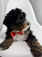 processed/03e9f551-54de-48cd-9003-f5a7c2f49a21/listing/78e7697e-a2f6-4d8a-86a4-dae0920b6082/cc1b63be-9f2e-412d-b589-09588bee61b5