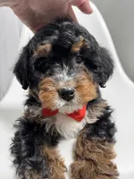 processed/03e9f551-54de-48cd-9003-f5a7c2f49a21/listing/78e7697e-a2f6-4d8a-86a4-dae0920b6082/d8113a0b-35c1-4fb2-91a2-4697ebd948b9