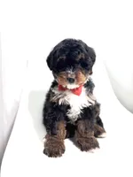 processed/03e9f551-54de-48cd-9003-f5a7c2f49a21/listing/78e7697e-a2f6-4d8a-86a4-dae0920b6082/ee4b2a37-8398-4295-ab8e-618902eba9fc