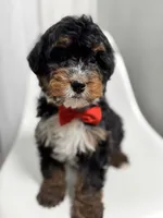 processed/03e9f551-54de-48cd-9003-f5a7c2f49a21/listing/78e7697e-a2f6-4d8a-86a4-dae0920b6082/f69389f0-c78a-43c1-9ec9-ccf60fdff2af