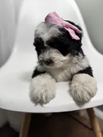 processed/03e9f551-54de-48cd-9003-f5a7c2f49a21/listing/a4717507-bfe4-4a41-8f10-9c3d0762f546/2d285485-dc17-43bf-80f9-1141da4ba3ad