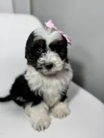 processed/03e9f551-54de-48cd-9003-f5a7c2f49a21/listing/a4717507-bfe4-4a41-8f10-9c3d0762f546/8c4d6df6-8fda-4ce9-b0e7-1fb10697730c