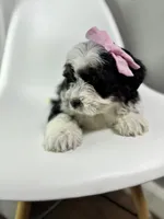 processed/03e9f551-54de-48cd-9003-f5a7c2f49a21/listing/a4717507-bfe4-4a41-8f10-9c3d0762f546/9f2ecb20-7757-4e6b-b490-30a5dff814c6