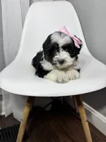 processed/03e9f551-54de-48cd-9003-f5a7c2f49a21/listing/a4717507-bfe4-4a41-8f10-9c3d0762f546/c4657790-d6e9-4af7-b02a-4ffb69b6ce17