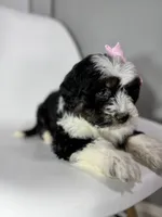 processed/03e9f551-54de-48cd-9003-f5a7c2f49a21/listing/a4717507-bfe4-4a41-8f10-9c3d0762f546/f806bcb9-4d3b-4470-afa2-4afe46f0fb8f