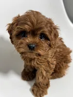 processed/03e9f551-54de-48cd-9003-f5a7c2f49a21/listing/bd1e50f2-24e6-4a76-ae95-20d141dff2ac/02c98a60-58d8-41b0-9015-99bf333afd41