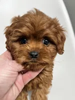 processed/03e9f551-54de-48cd-9003-f5a7c2f49a21/listing/bd1e50f2-24e6-4a76-ae95-20d141dff2ac/681a07e3-0558-40fb-bda1-4244e088ea5b