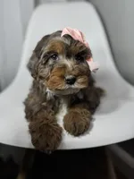 processed/03e9f551-54de-48cd-9003-f5a7c2f49a21/listing/bf9fe65e-c710-4f3a-8870-4b13bf26385f/13d556a8-c2a2-4980-81dc-771222413021