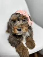 processed/03e9f551-54de-48cd-9003-f5a7c2f49a21/listing/bf9fe65e-c710-4f3a-8870-4b13bf26385f/42513fc7-fd94-4475-b8e0-4a71c7b44e36