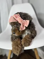 processed/03e9f551-54de-48cd-9003-f5a7c2f49a21/listing/bf9fe65e-c710-4f3a-8870-4b13bf26385f/51fe3e93-d03a-42ab-9fd5-e794ac6dbc6b