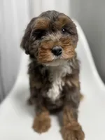 processed/03e9f551-54de-48cd-9003-f5a7c2f49a21/listing/bf9fe65e-c710-4f3a-8870-4b13bf26385f/9f29b84b-551f-4f07-b2cf-9f5c300a10eb