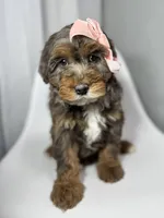 processed/03e9f551-54de-48cd-9003-f5a7c2f49a21/listing/bf9fe65e-c710-4f3a-8870-4b13bf26385f/aed59795-0dfb-4088-a42a-ae8d78bbab69