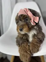 processed/03e9f551-54de-48cd-9003-f5a7c2f49a21/listing/bf9fe65e-c710-4f3a-8870-4b13bf26385f/b48e23fd-e28c-4321-9491-046bef092b4a