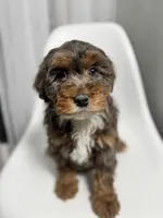 processed/03e9f551-54de-48cd-9003-f5a7c2f49a21/listing/bf9fe65e-c710-4f3a-8870-4b13bf26385f/cb3dbc88-6d63-4fd4-8299-72cedecff0c4