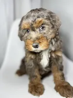 processed/03e9f551-54de-48cd-9003-f5a7c2f49a21/listing/bf9fe65e-c710-4f3a-8870-4b13bf26385f/da8a3a04-620a-4746-ae1c-16da25269974