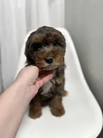 processed/03e9f551-54de-48cd-9003-f5a7c2f49a21/listing/bf9fe65e-c710-4f3a-8870-4b13bf26385f/eb0b858a-802a-4b48-b98d-fd5f86be9f31