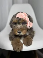 processed/03e9f551-54de-48cd-9003-f5a7c2f49a21/listing/bf9fe65e-c710-4f3a-8870-4b13bf26385f/eb86db81-2575-47b1-820f-0d7732f25cc7