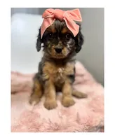 processed/03e9f551-54de-48cd-9003-f5a7c2f49a21/listing/dbac5974-dda2-4590-9302-e41c0dc4558b/229882a4-9dcb-4df5-9d5b-32d7c106a91d