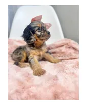 processed/03e9f551-54de-48cd-9003-f5a7c2f49a21/listing/dbac5974-dda2-4590-9302-e41c0dc4558b/9130a1f0-2eea-4830-8831-f90f5d0b08d6