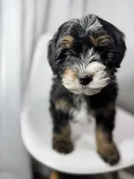 processed/03e9f551-54de-48cd-9003-f5a7c2f49a21/listing/dca49753-6965-4d8a-8e7a-180736d321c1/45497729-7ccc-4bbf-afd1-0ae6d2e5d924