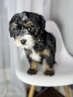 processed/03e9f551-54de-48cd-9003-f5a7c2f49a21/listing/dca49753-6965-4d8a-8e7a-180736d321c1/50c83fd9-e739-45d2-bfc3-d98212c81222