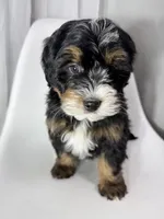 processed/03e9f551-54de-48cd-9003-f5a7c2f49a21/listing/dca49753-6965-4d8a-8e7a-180736d321c1/64d55a3b-05da-4c91-b453-799979ee6ffc