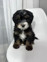 processed/03e9f551-54de-48cd-9003-f5a7c2f49a21/listing/dca49753-6965-4d8a-8e7a-180736d321c1/850cfd35-ca9d-40be-9e91-d37731e553f9