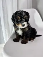 processed/03e9f551-54de-48cd-9003-f5a7c2f49a21/listing/dca49753-6965-4d8a-8e7a-180736d321c1/8695d142-4777-4975-bb41-fa28bda9ef1d