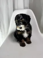 processed/03e9f551-54de-48cd-9003-f5a7c2f49a21/listing/dca49753-6965-4d8a-8e7a-180736d321c1/87ac5c50-5803-4710-9c99-f10e1f644144