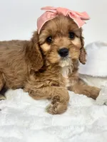 processed/03e9f551-54de-48cd-9003-f5a7c2f49a21/listing/f4175b52-a35e-49d4-8760-ecd090413f23/603c0895-c0d9-4fe4-b3e7-cdf8103e6b92