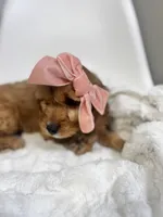 processed/03e9f551-54de-48cd-9003-f5a7c2f49a21/listing/f4175b52-a35e-49d4-8760-ecd090413f23/91aa1cb3-fd9e-4c16-a914-6af4b82d83bc