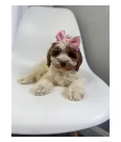 processed/03e9f551-54de-48cd-9003-f5a7c2f49a21/listing/fdbe28bb-8523-418f-8ed1-01b596158a88/c2c8260d-5c7f-41d9-a3f0-c963ca484f90