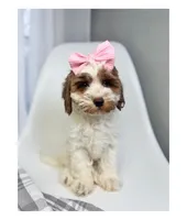 processed/03e9f551-54de-48cd-9003-f5a7c2f49a21/listing/fdbe28bb-8523-418f-8ed1-01b596158a88/ce33209d-18bc-4229-89a4-977a7d12448e