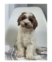 processed/03e9f551-54de-48cd-9003-f5a7c2f49a21/listing/fdbe28bb-8523-418f-8ed1-01b596158a88/cfc11399-ad58-432d-a09b-9d6fcff86732