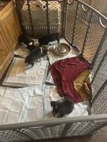 processed/040ffbb1-768e-4788-b042-d149846177ee/facility/8d4c24f9-96d4-43ed-8c4e-2a91382a1b40