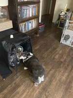 processed/040ffbb1-768e-4788-b042-d149846177ee/facility/ef399233-c87f-4728-bf1a-4aa0994b8a16